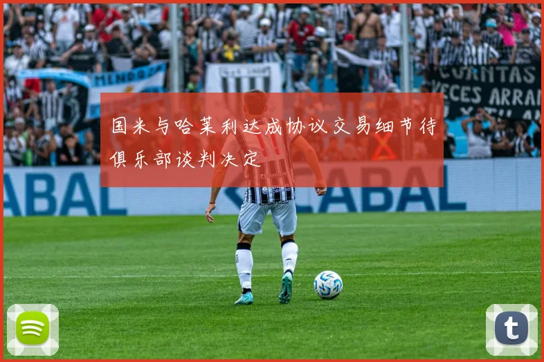 国米与哈莱利达成协议交易细节待俱乐部谈判决定